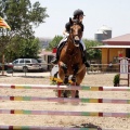Poni Club