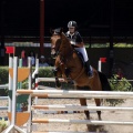 Poni Club