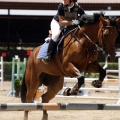 Poni Club