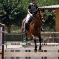 Poni Club