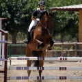 Poni Club