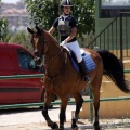Poni Club