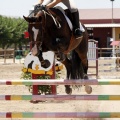 Poni Club