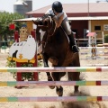 Poni Club