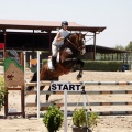 Poni Club