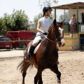 Poni Club
