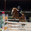 Poni Club