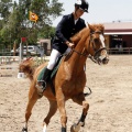 Poni Club
