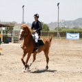 Poni Club