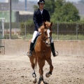 Poni Club