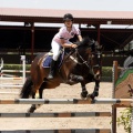 Poni Club