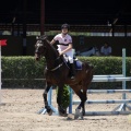 Poni Club