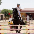 Poni Club
