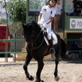 Poni Club