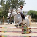 Poni Club