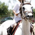 Poni Club
