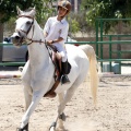 Poni Club