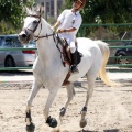 Poni Club