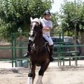 Poni Club