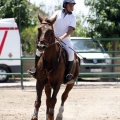 Poni Club
