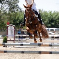 Poni Club