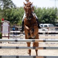 Poni Club