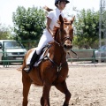 Poni Club