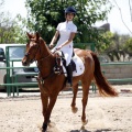 Poni Club