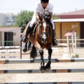 Poni Club