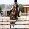 Poni Club