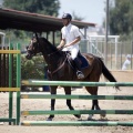 Poni Club