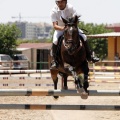 Poni Club