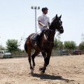 Poni Club