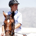 Poni Club