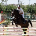 Poni Club