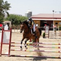 Poni Club