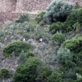 XV Marcha al Bartolo