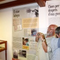 Castellón, exposiciones, 2013