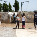Club hípico Mediterráneo