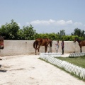 Club hípico Mediterráneo