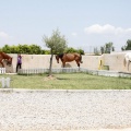 Club hípico Mediterráneo