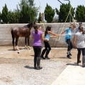 Club hípico Mediterráneo