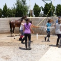 Club hípico Mediterráneo