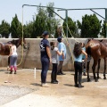 Club hípico Mediterráneo