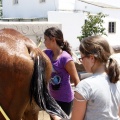 Club hípico Mediterráneo