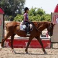 Club hípico Mediterráneo