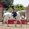 Club hípico Mediterráneo