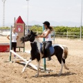 Club hípico Mediterráneo
