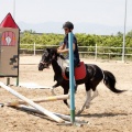 Club hípico Mediterráneo