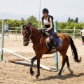 Club hípico Mediterráneo